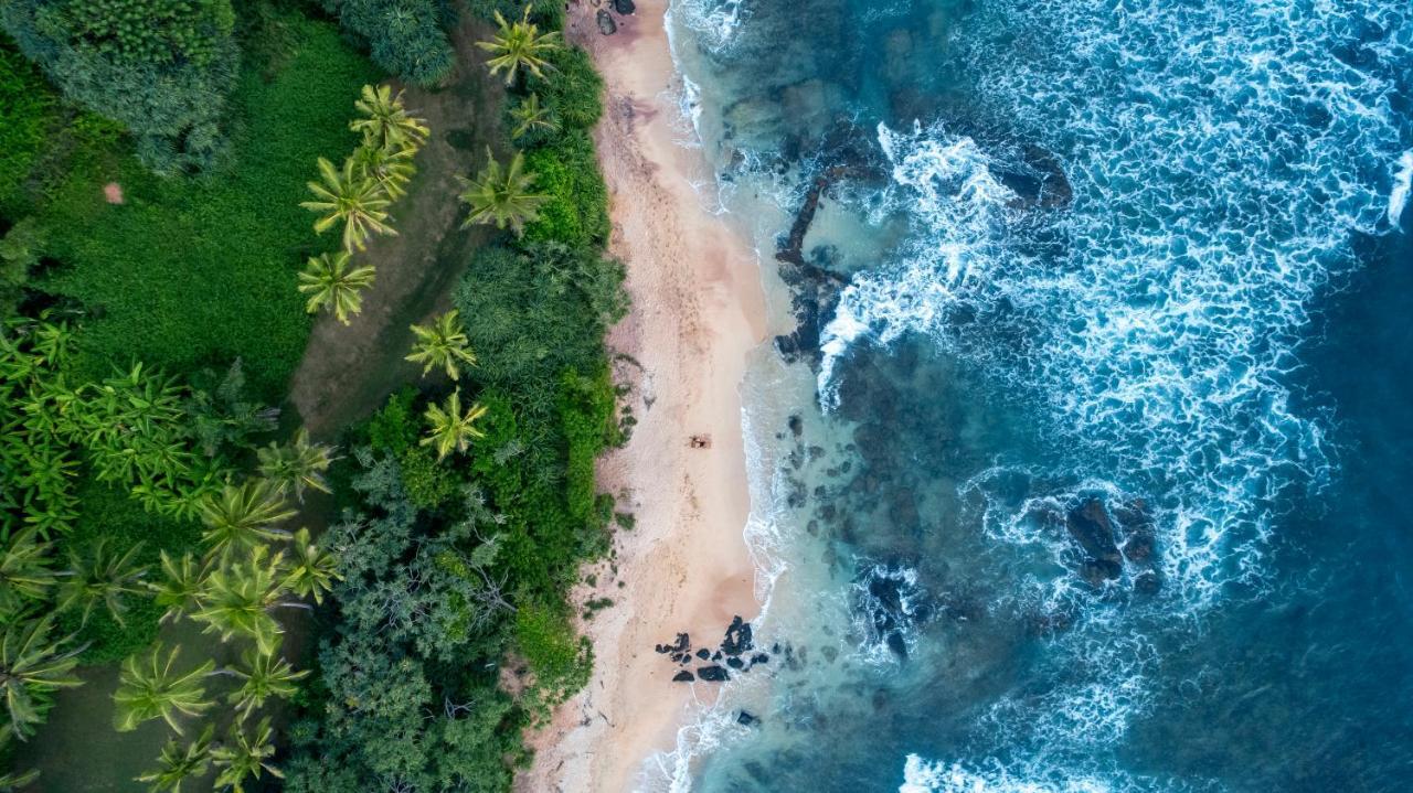 Villa Oceane Mirissa Eksteriør billede